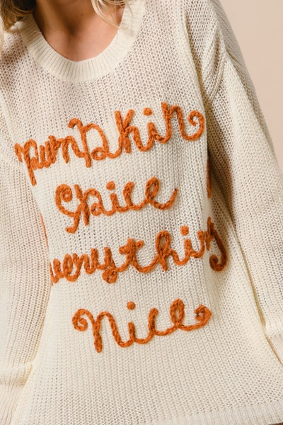 Ivory Pumpkin Spice Everything Nice Knit Fall Thanksgiving Crew Pullover Sweater
