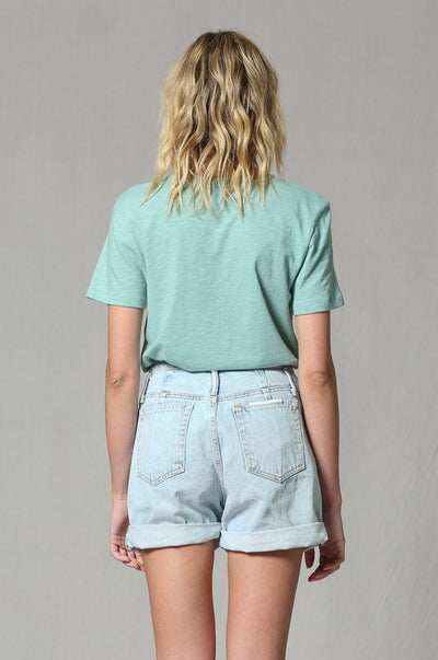 Seafoam Green Vintage Don’t Be An Ass Tee Womens Casual T-Shirt