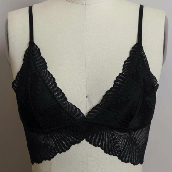 Black Butterfly Scalloped Lace Padded Bralette